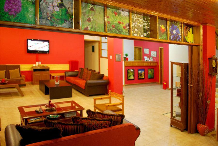 Hotel Faraggi Kleidonia 外观 照片
