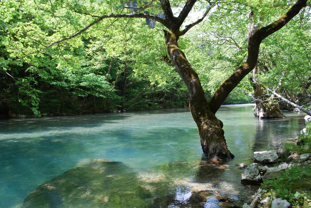 Hotel Faraggi Kleidonia 外观 照片